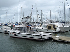 nitro fishing boat